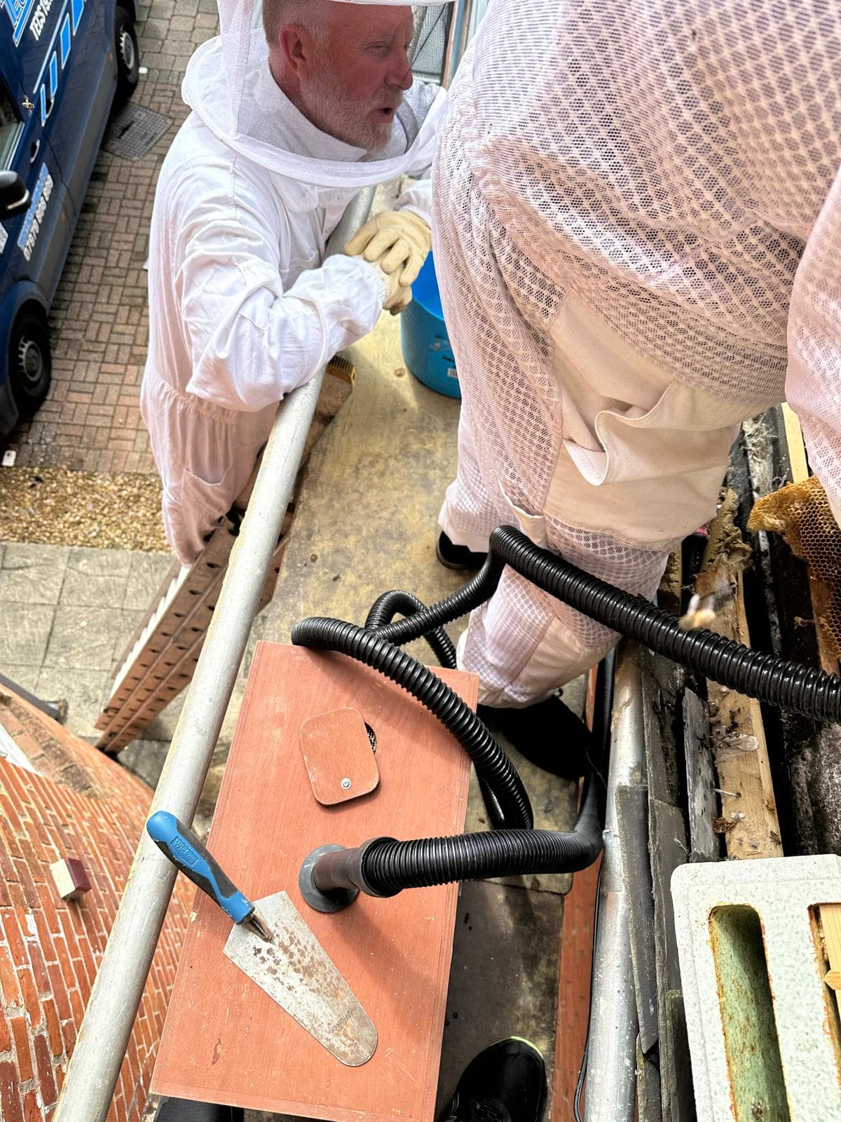Bee removal, full kit on site